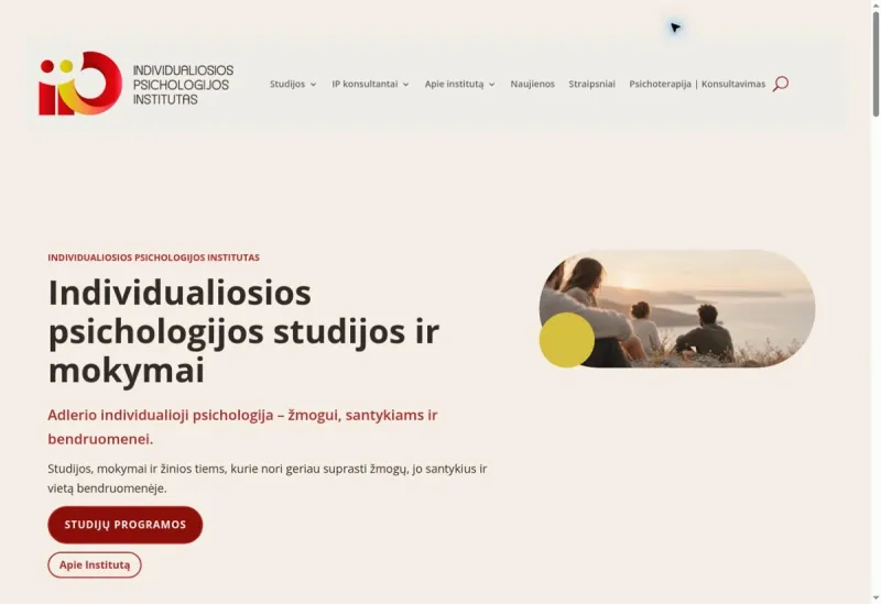 Individualiosios psichologijos institutas svetainės darbų pavyzdys