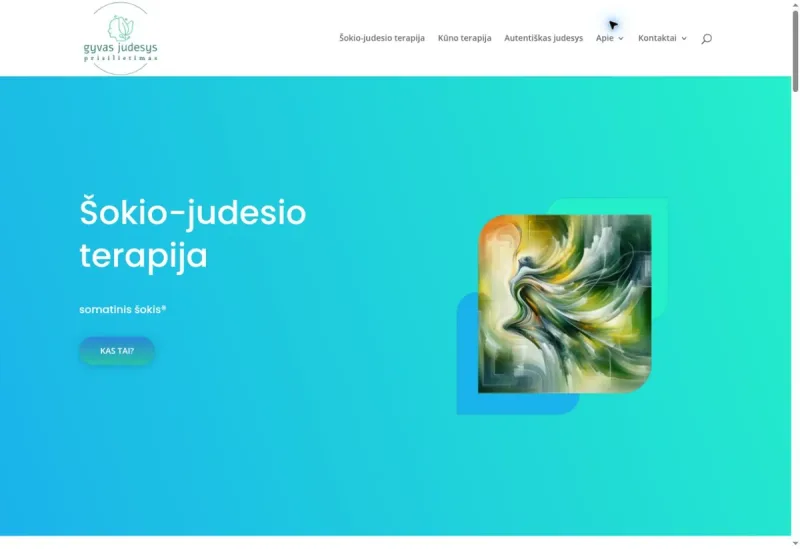 Mano judesys svetainės darbų pavyzdys