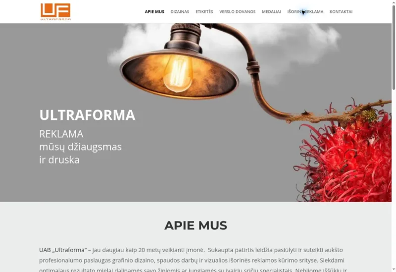 Ultraforma svetainės darbų pavyzdys