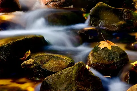 Ruduo – 4