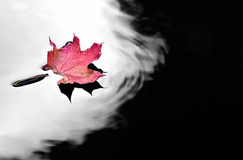 Ruduo – 39